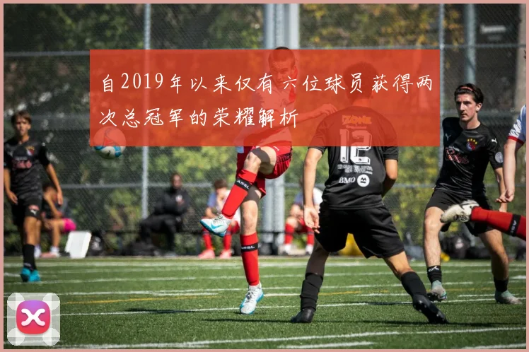 自2019年以来仅有六位球员获得两次总冠军的荣耀解析